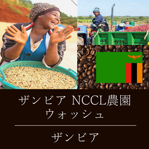 ザンビア NCCL農園 AAA/AA ウォッシュ ニシナ屋 珈琲 焙煎 コーヒー 豆 300g